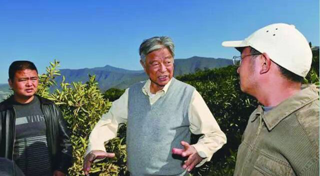 政策咨询