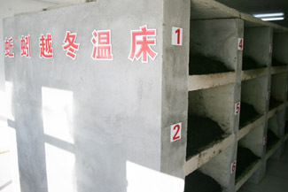 政策咨询 政策咨询