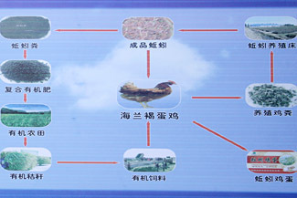 政策咨询