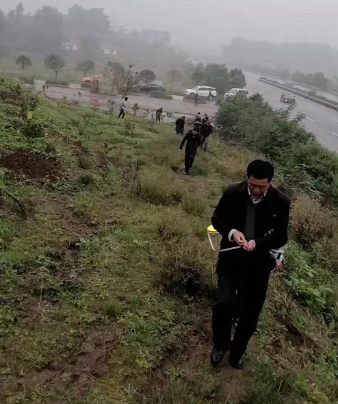 湖南树人农林科技有限公司,湖南柑橘品种销售,中国果树网,常绿果树类哪里好
