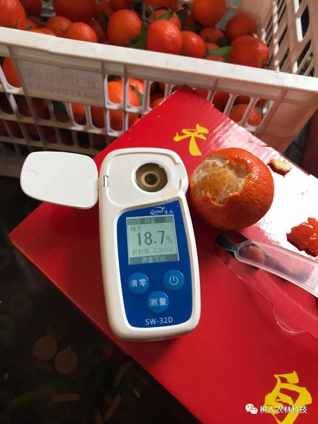 湖南树人农林科技有限公司,湖南柑橘品种销售,中国果树网,常绿果树类哪里好