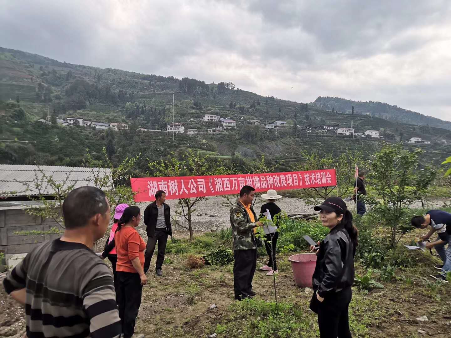 湖南树人农林科技有限公司,湖南柑橘品种销售,中国果树网,常绿果树类哪里好