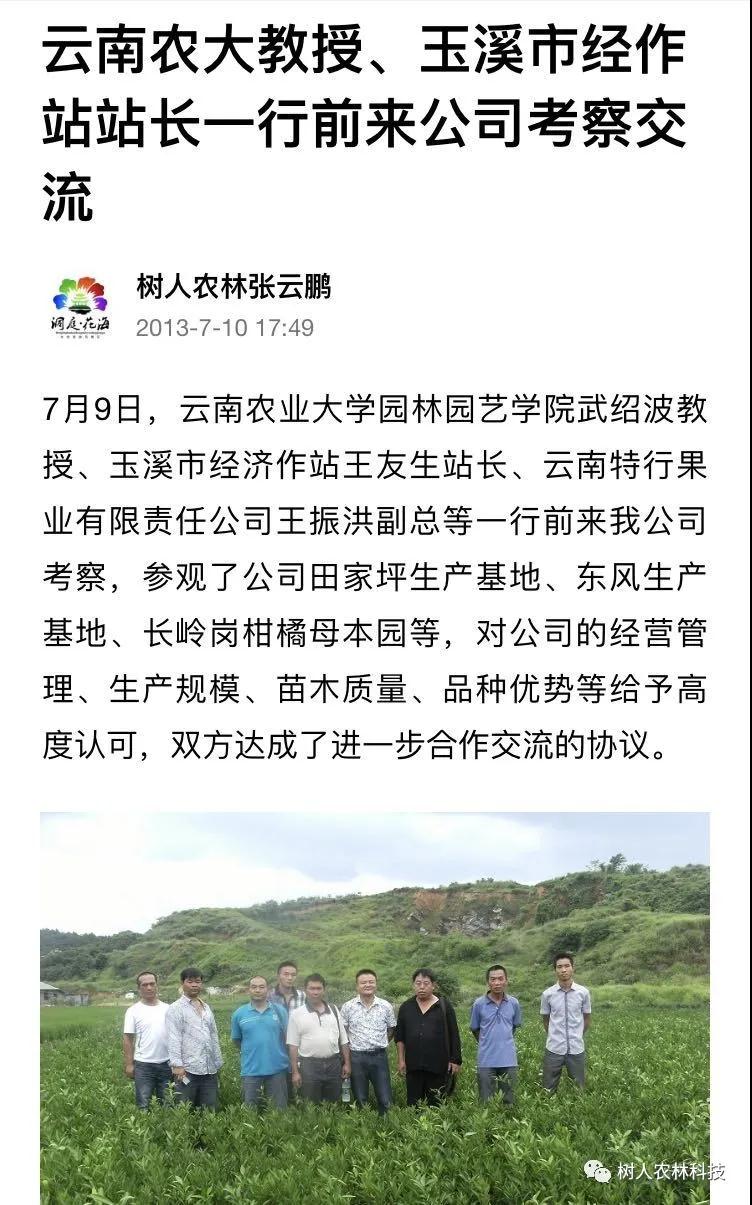 湖南树人农林科技有限公司,湖南柑橘品种销售,中国果树网,常绿果树类哪里好