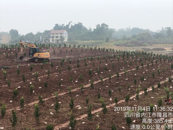 湖南树人农林科技有限公司,湖南柑橘品种销售,中国果树网,常绿果树类哪里好